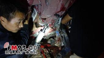 儿子死后绝望妈妈杀翻全场（披荆斩棘的母亲）,绝望之母的复仇之路