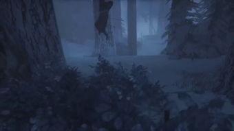 从被分手开始崛起,从失恋低谷到人生巅峰的蜕变之旅