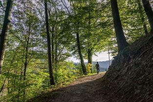 黑森林 2018,探寻神秘森林的奇幻之旅