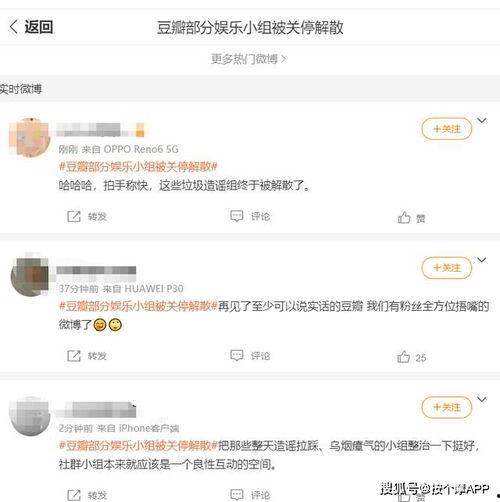 娱乐吃瓜酱评论区在哪,热门话题背后的热议焦点”